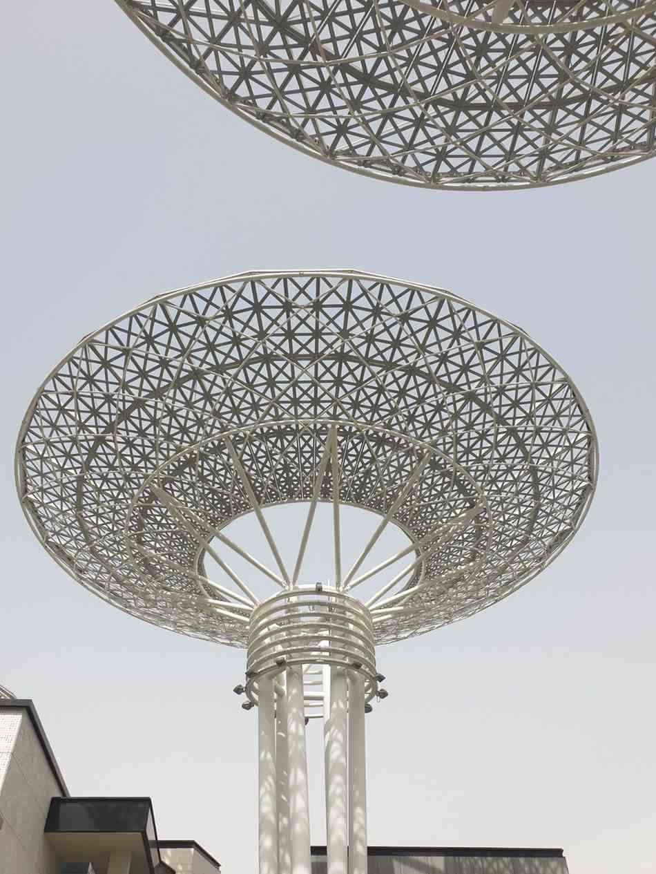 صورة المشروع 33